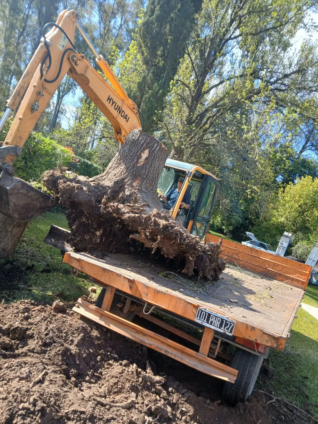 Retiro de raíces con retroexcavadora
